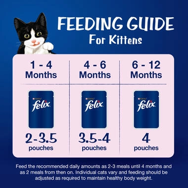 FELIX As Good As It Looks Kitten Chicken in Jelly Wet Cat Food - 12 x 85g