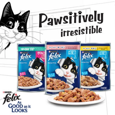 FELIX As Good As It Looks Kitten Chicken in Jelly Wet Cat Food - 12 x 85g